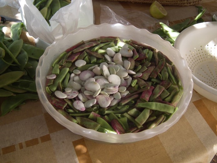 Vegetales de la paella