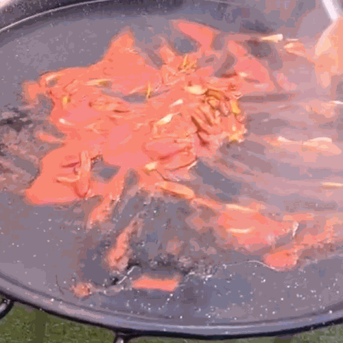 2.- Corta el pulpo y sofrielo