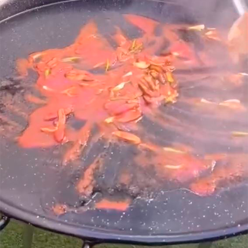 2.- Corta el pulpo y sofrielo