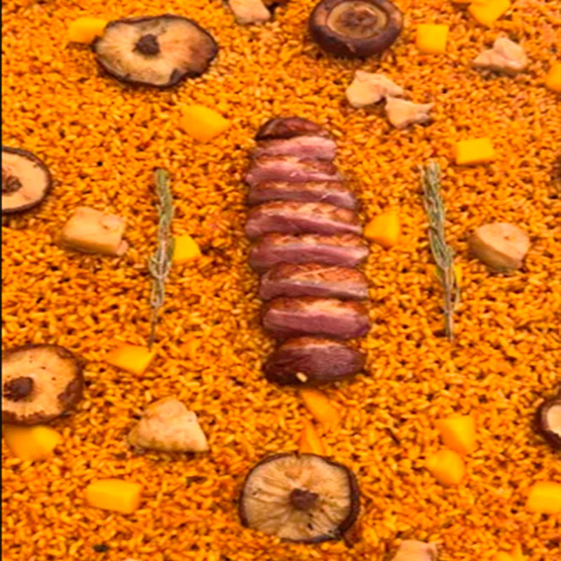 Presentación final  arroz con Magret de pato