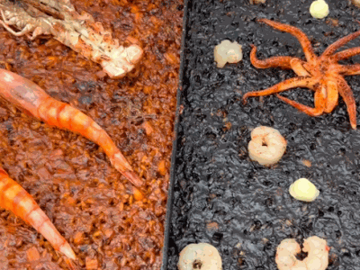 12.- Listo para comer