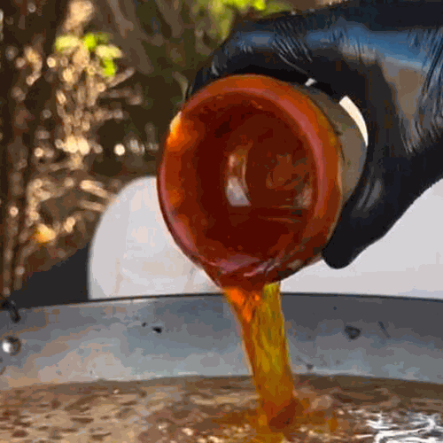 6.- Dorar la ventresca