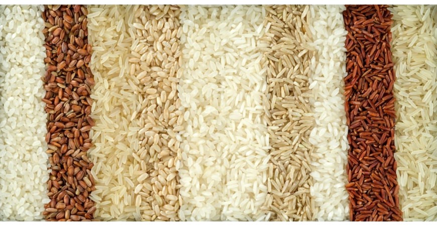 ¿Cual es la mejor marca  y variedad de arroz para la paella?