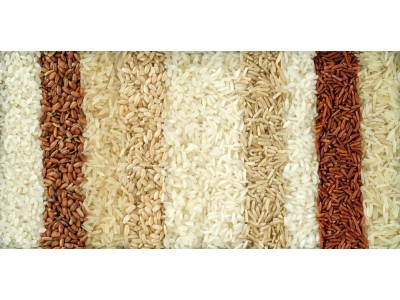 ¿Cual es la mejor marca  y variedad de arroz para la paella?