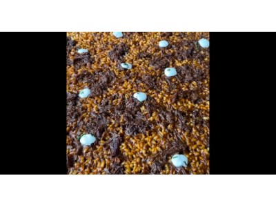 Receta de @fanaticook: Arroz de capa fina con carrilleras ibéricas y crema de queso curado